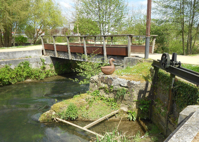 Image de l’arboretum de l'archipel des Eaux Mêlées